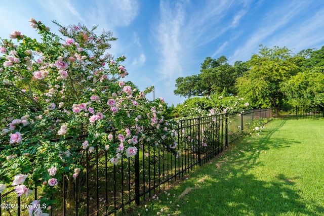 1911 Middle Sound Loop Rd, Wilmington, NC 28411 - view of yard