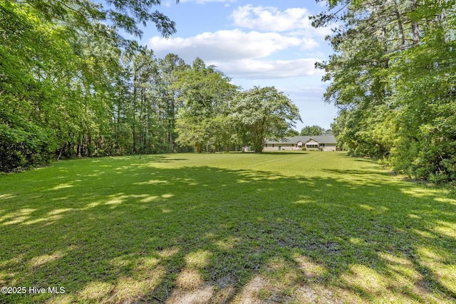 418 Grants Creek Rd, Jacksonville, NC 28546 - view of green lawn