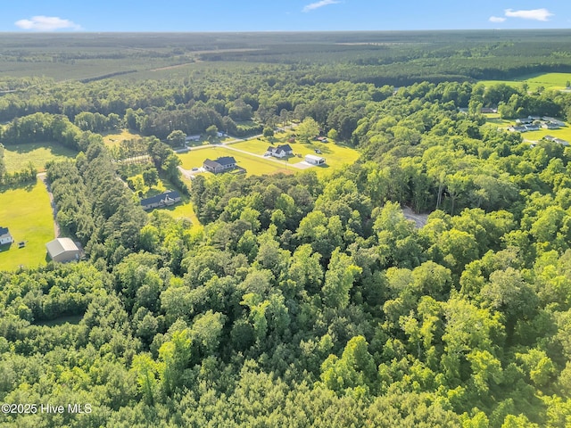 418 Grants Creek Rd, Jacksonville, NC 28546 - drone / aerial view of a forest