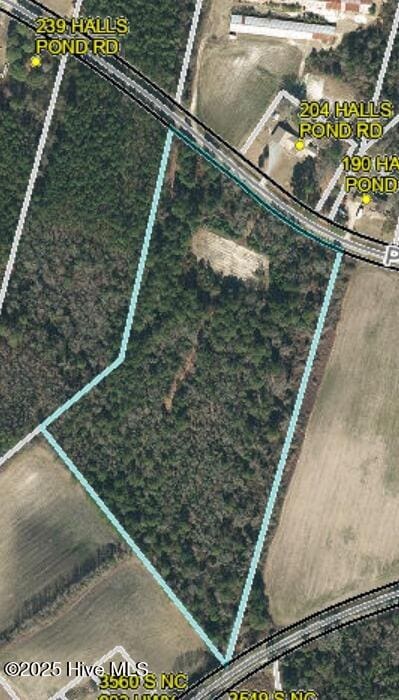 0 Halls Pond Rd, Rose Hill, NC 28458