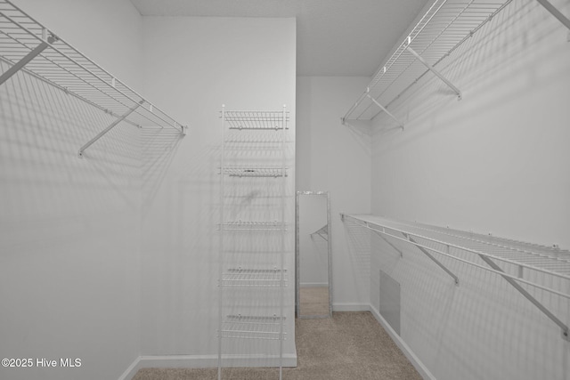4109 Breezewood Dr Unit 204, Wilmington, NC 28412 - walk in closet featuring carpet