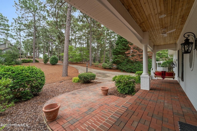 118 Douglas Dr, West End, NC 27376 - view of porch