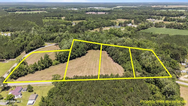 0 Newtown Loop Rd, Atkinson, NC 28421