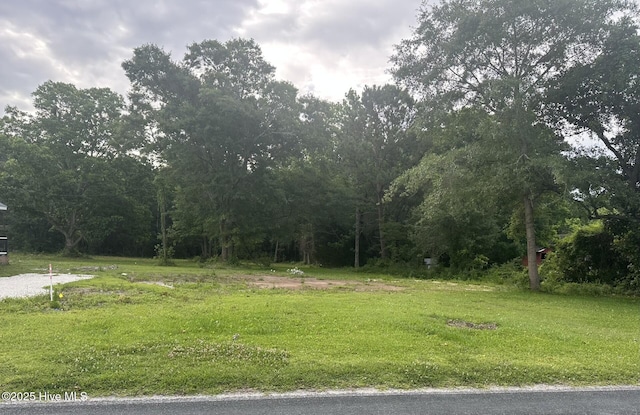 222 Fulcher Landing Rd, Sneads Ferry, NC 28460