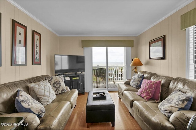 101 W First St # A2, Ocean Isle Beach, NC 28469 - living room with wood finished floors and ornamental molding
