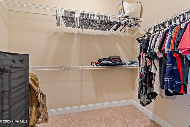1678 Old Salt SW, Shallotte, NC 28470 - spacious closet featuring carpet flooring
