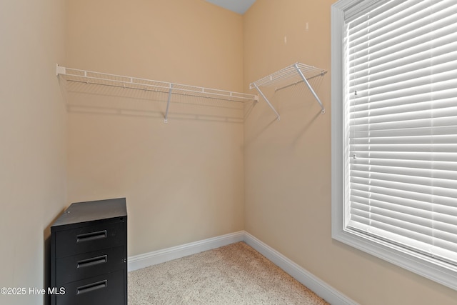1678 Old Salt SW, Shallotte, NC 28470 - view of spacious closet
