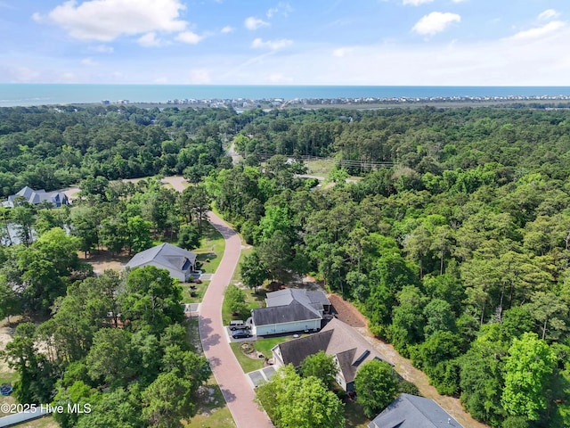 1678 Old Salt SW, Shallotte, NC 28470 - aerial view of a forest