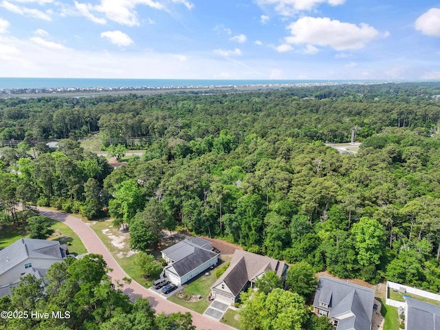 1678 Old Salt SW, Shallotte, NC 28470 - drone / aerial view of a heavily wooded area