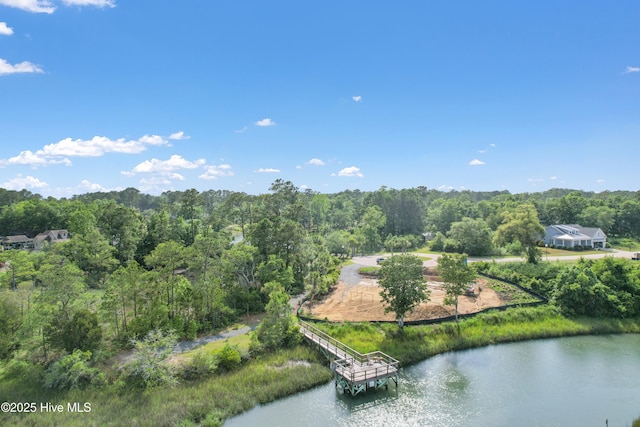 1678 Old Salt SW, Shallotte, NC 28470 - drone / aerial view of a large body of water and a forest
