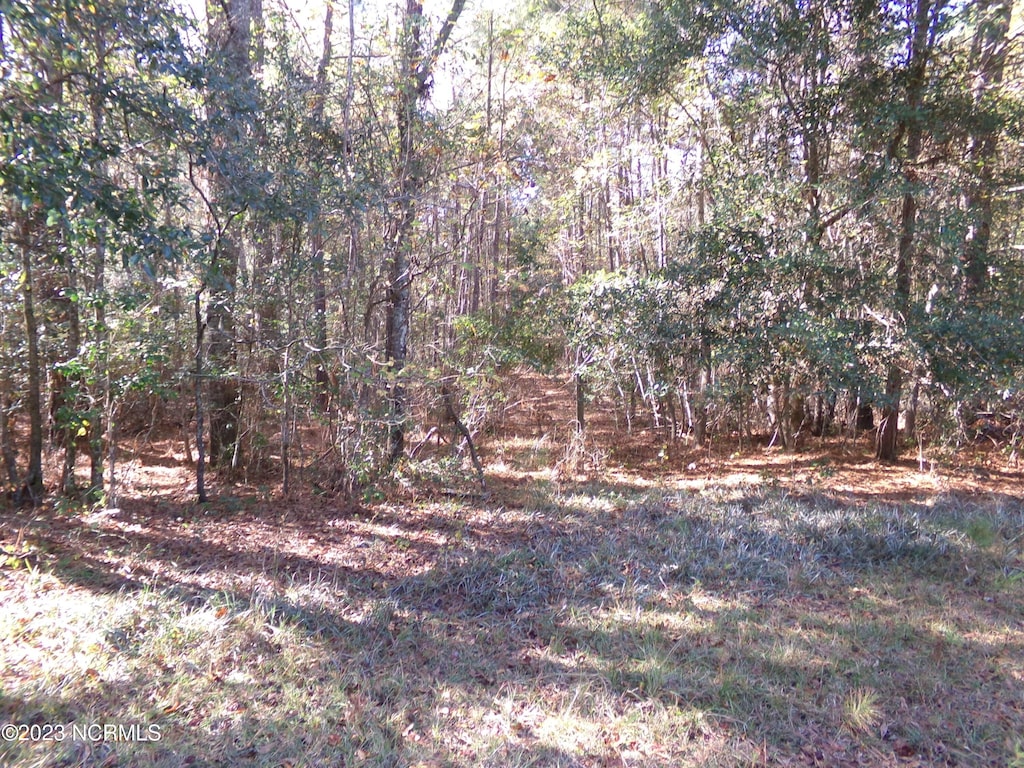 242 Murphy Ln, Near, Delco, NC 28436