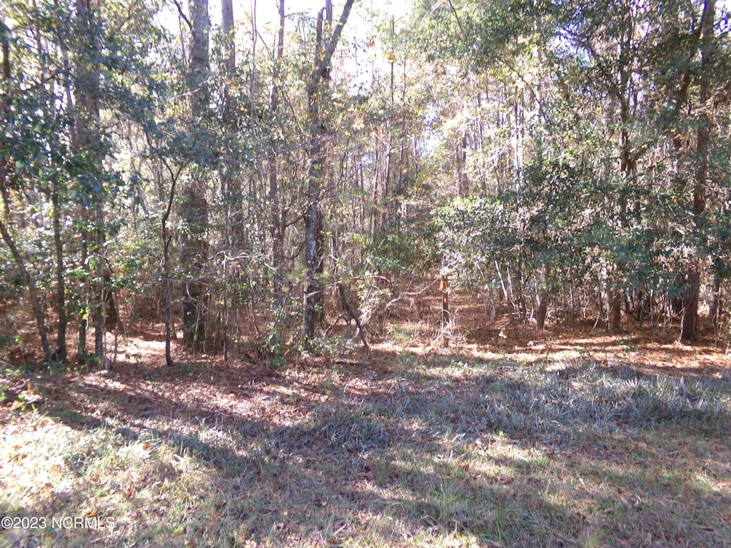 242 Murphy Ln, Near, Delco, NC 28436