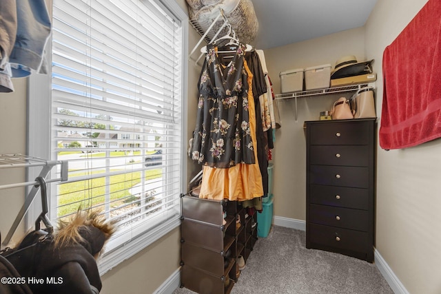 1014 Ponderosa Pl, Jacksonville, NC 28546 - spacious closet featuring carpet flooring