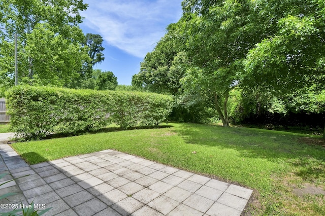 408 N 25th St, Wilmington, NC 28405 - view of grassy yard featuring a patio