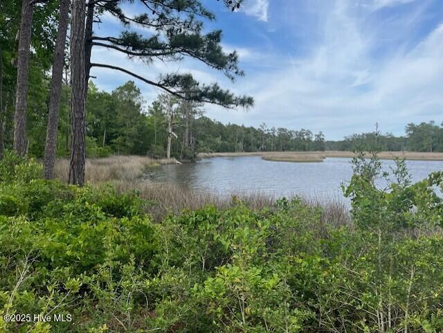 129 Starkey Creek Dr Unit 35, Swansboro, NC 28584
