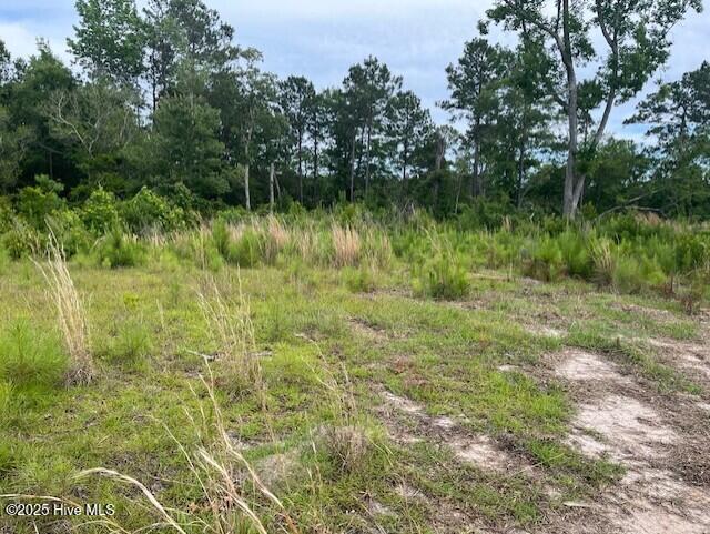 129 Starkey Creek Dr Unit 35, Swansboro, NC 28584