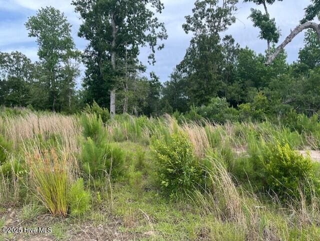 129 Starkey Creek Dr Unit 35, Swansboro, NC 28584