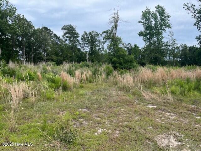 129 Starkey Creek Dr Unit 35, Swansboro, NC 28584