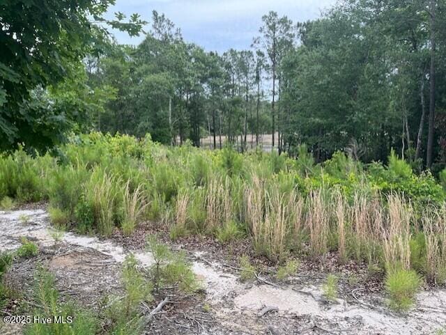 129 Starkey Creek Dr Unit 35, Swansboro, NC 28584