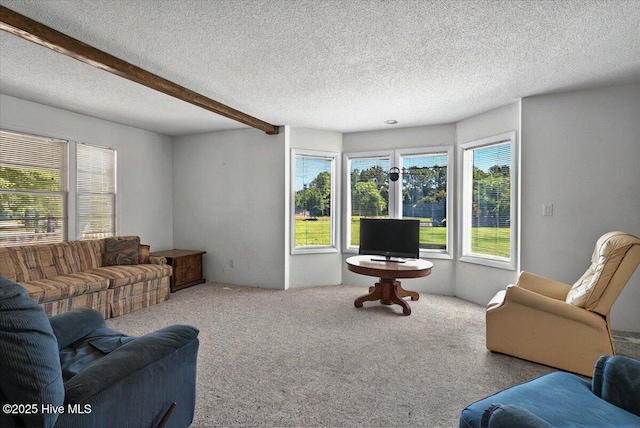 5685 Watts Rd SW, Ocean Isle Beach, NC 28469 - carpeted living area featuring beam ceiling and a textured ceiling