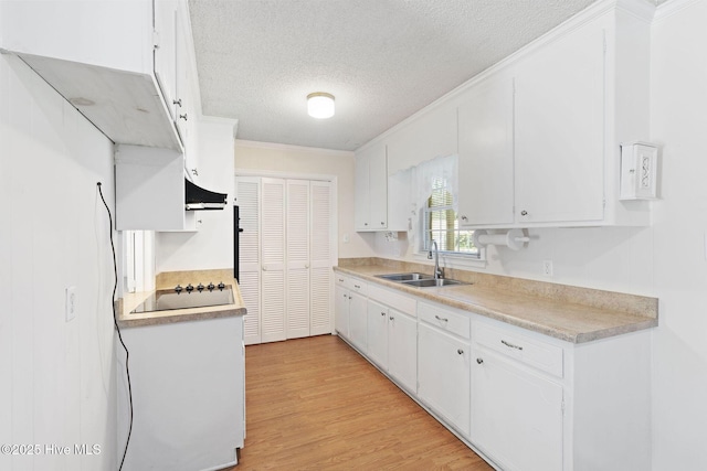 263 La Grange Rd, La Grange, NC 28551 - kitchen featuring a sink, ornamental molding, a textured ceiling, black electric cooktop, and ventilation hood