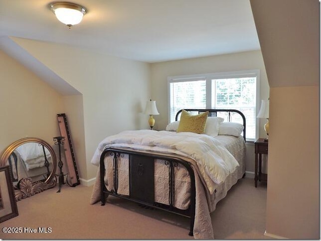 110 E Blalock Rd, Lucama, NC 27851 - bedroom featuring carpet floors and baseboards