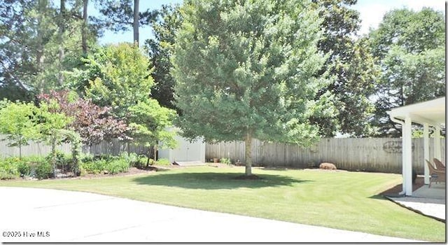 110 E Blalock Rd, Lucama, NC 27851 - view of yard featuring a patio