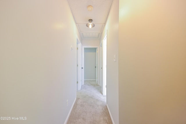 159 Dockside Dr, Jacksonville, NC 28546 - corridor with light colored carpet, attic access, and baseboards