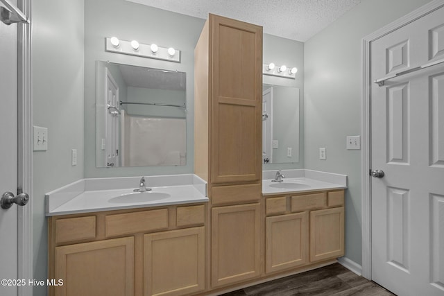 202 Courtyard W, Newport, NC 28570 - full bath featuring double vanity, a textured ceiling, wood finished floors, and a shower