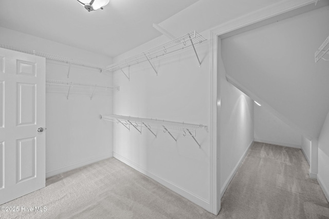 3107 Indian Wells Pl, Greenville, NC 27858 - spacious closet featuring carpet flooring