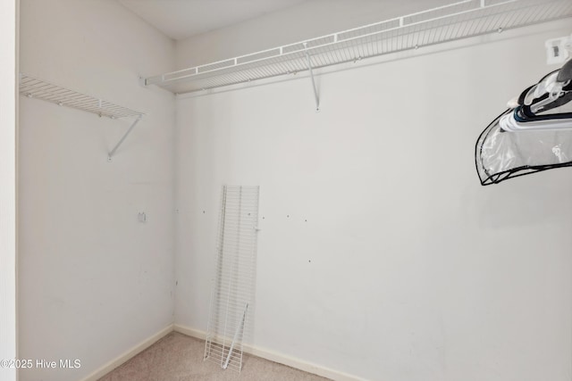 6814 Lipscomb Dr, Wilmington, NC 28412 - walk in closet featuring light colored carpet