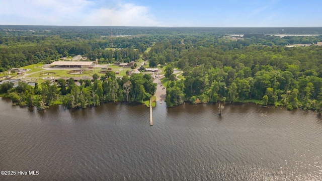 210 Glenburnie Dr, New Bern, NC 28560 - aerial view of a forest and a large body of water