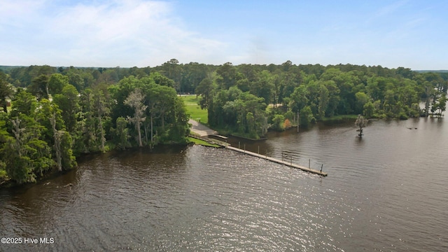 210 Glenburnie Dr, New Bern, NC 28560 - water view with a forest