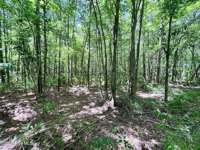 0 Woodridge Rd, Enfield, NC 27823