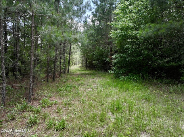 0 Woodridge Rd, Enfield, NC 27823