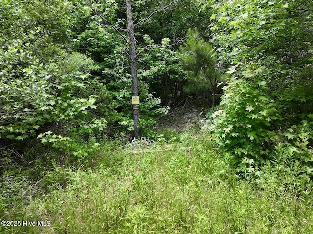 0 Woodridge Rd, Enfield, NC 27823
