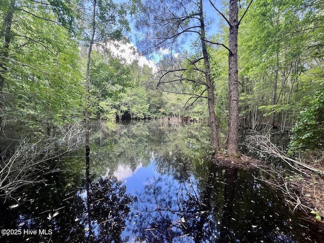 0 Woodridge Rd, Enfield, NC 27823
