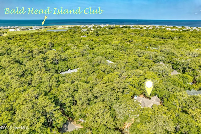 20 Fort Holmes Trl, Bald Head Island, NC 28461 - drone / aerial view of a large body of water and a heavily wooded area