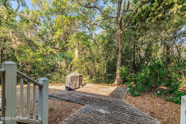 20 Fort Holmes Trl, Bald Head Island, NC 28461 - view of yard