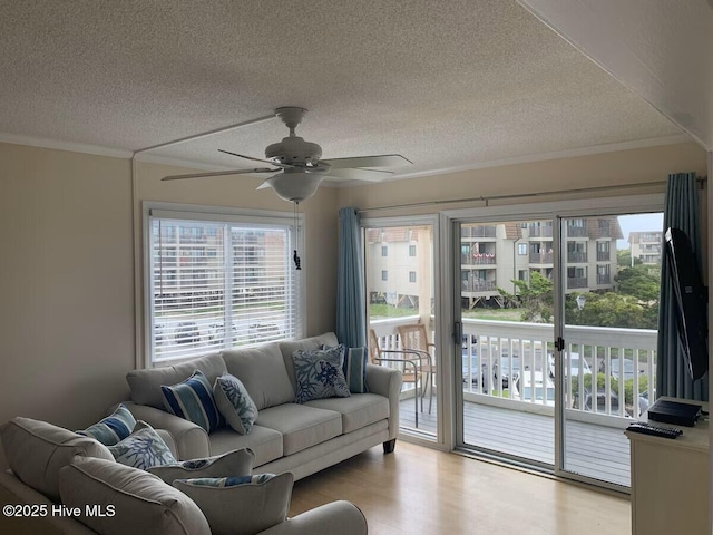 1904 E Fort Macon Rd Unit 269, Atlantic Beach, NC 28512 - living room featuring a textured ceiling, a ceiling fan, healthy amount of natural light, wood finished floors, and ornamental molding
