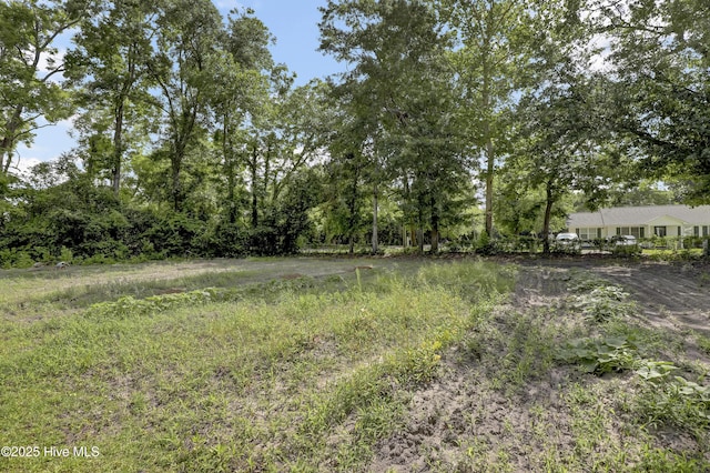 222 Evans St, Wilmington, NC 28405 - view of yard