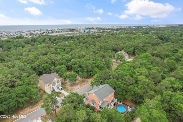 1086 Ferry Landing Dr SW, Supply, NC 28462 - view of property location featuring a forest