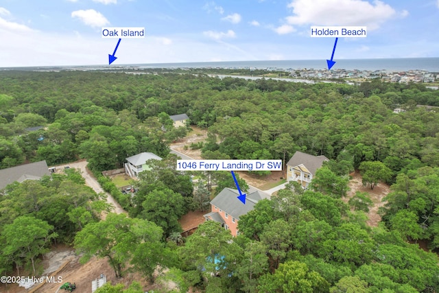 1086 Ferry Landing Dr SW, Supply, NC 28462 - view of property location featuring a forest and a nearby body of water