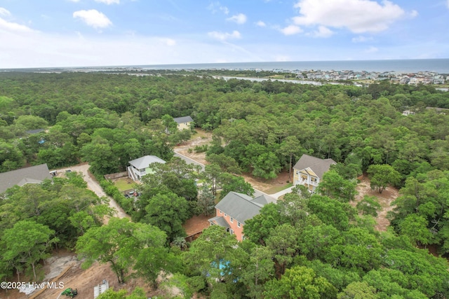 1086 Ferry Landing Dr SW, Supply, NC 28462 - aerial overview of property's location featuring a forest and a large body of water