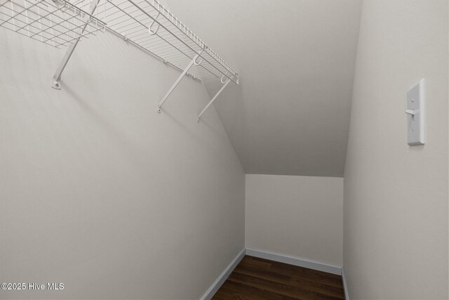 123 S Park Ln, Newport, NC 28570 - walk in closet featuring wood finished floors and vaulted ceiling