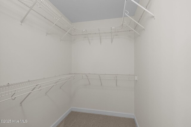 123 S Park Ln, Newport, NC 28570 - walk in closet featuring light carpet