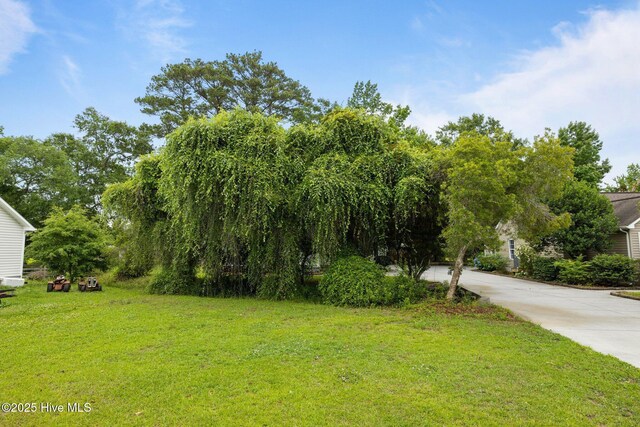 123 S Park Ln, Newport, NC 28570 - view of green lawn with concrete driveway
