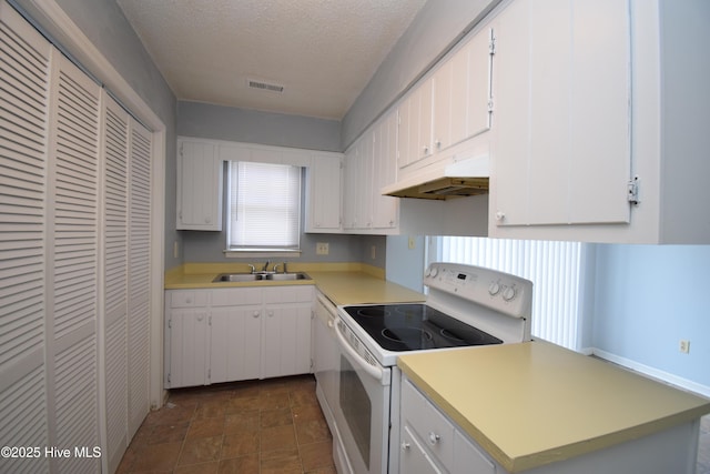 110 Concord Dr Unit C, Greenville, NC 27834 - kitchen with white electric stove, under cabinet range hood, light countertops, a textured ceiling, and a sink