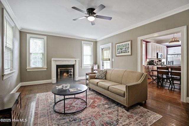 1305 Kenan St NW, Wilson, NC 27893 - living room with crown molding, a ceiling fan, dark wood-style flooring, a fireplace with flush hearth, and baseboards