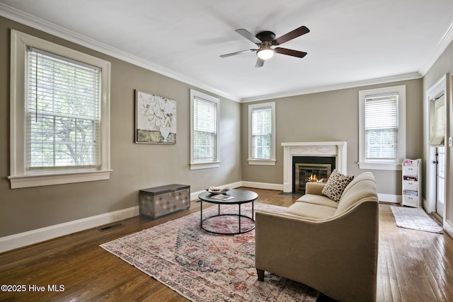 1305 Kenan St NW, Wilson, NC 27893 - living room with crown molding, plenty of natural light, wood finished floors, ceiling fan, and a high end fireplace